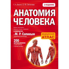 Анатомия человека. 2 издание. Билич Г. Л., Зигалова Е. Ю.