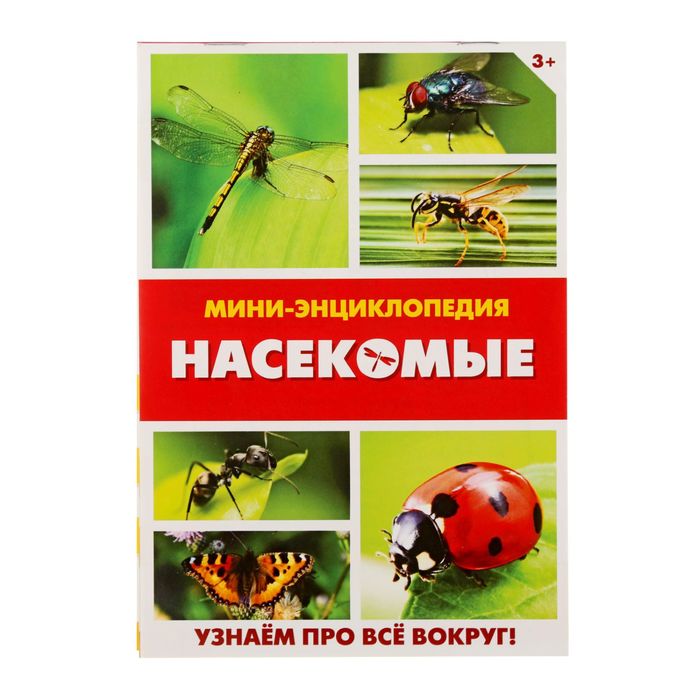 Мини-энциклопедия &quot;Насекомые&quot;, 20 стр.