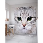 Фотоштора для ванной JoyArty «Серый кот», размер 180 х 200 см - фото 8176510