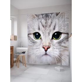 Фотоштора для ванной JoyArty «Серый кот», размер 180 х 200 см