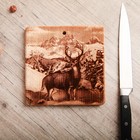 Доска из массива кедра «Олень», квадратная, 18 × 18 см Доска из массива кедра «Олень», квадратная, 18 × 18 см