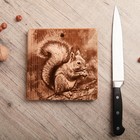 Доска из массива кедра «Бельчонок», квадратная, 18 × 18 см Доска из массива кедра «Бельчонок», квадратная, 18 × 18 см
