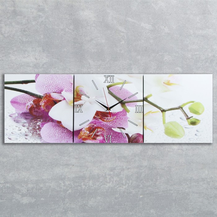 Часы настенные, модульные, серия: Цветы, "Орхидеи", 35х110  см, микс