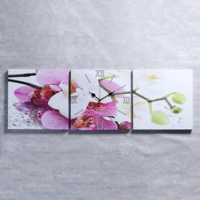 Часы настенные, модульные, серия: Цветы, "Орхидеи", 35х110  см, микс