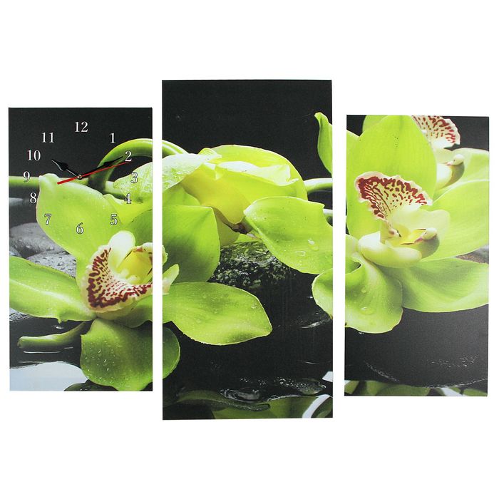 Часы настенные, модульные, серия: Цветы, "Зелёные орхидеи на камнях", 60х80 см - фото 896129