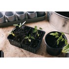 Кассета для рассады, 4 ячейки по 180 мл, набор 10 шт., чёрная, Greengo 1986205