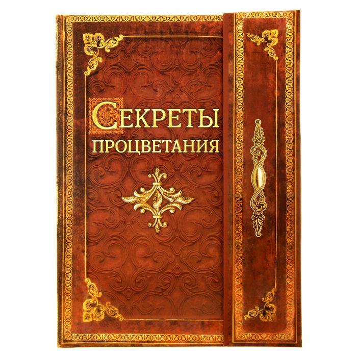 Ежедневник с магнитным клапаном &quot;Секреты процветания&quot;, твёрдая обложка, А5, 84 листа