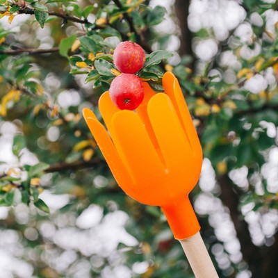 Плодосъёмник