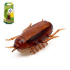 Bug "Cockroach", runs on batteries