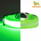 Ошейник с подсветкой, зарядка от USB, до 38 см, 3 режима свечения, зелёный - фото 4889260