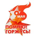 Наклейка на авто "9 мая. Помню! Горжусь!" 220х170мм 2074086 - фото 7076056