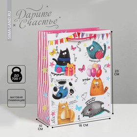 Пакет ламинированный вертикальный «Забавные коты», MS 18 × 23 × 8 см