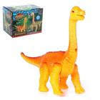 Toy "Dinosaur" with a projector, walks, lighting and sound effects