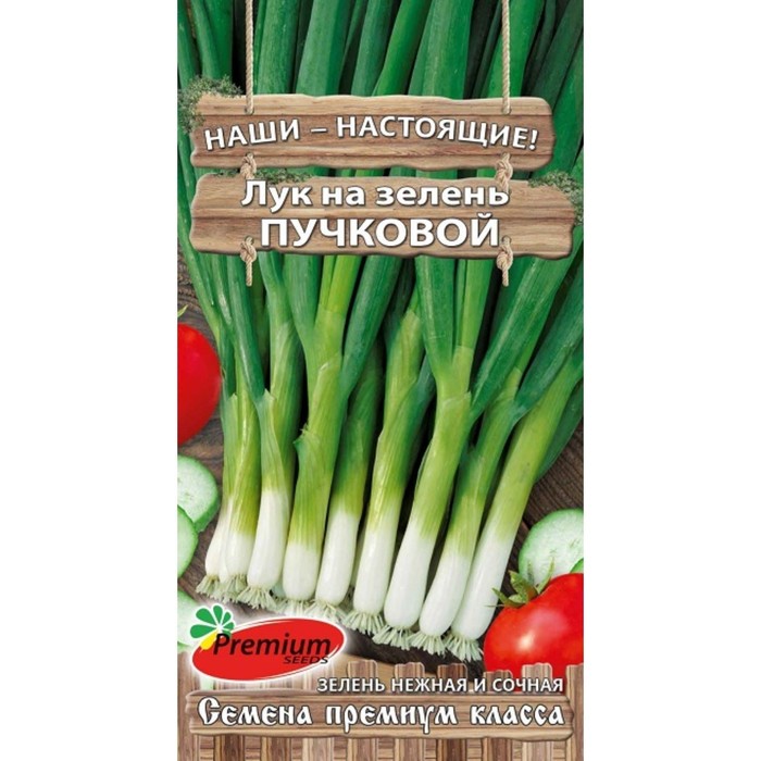 Купить Семена Лука В Интернет Магазине