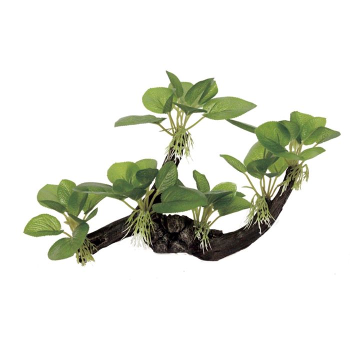 Декоративная Комп. ArtUniq Driftwood with Anubias M1 - Коряга с анубиасом, 24x9,5x18 см