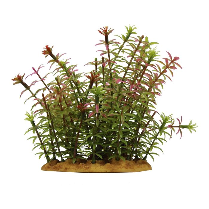 Комп. из искусств. растений ArtUniq Rotala indica 15 - Ротала индийская, 15 см