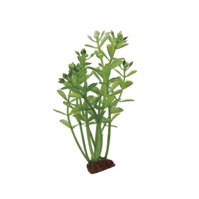 Набор искусств. раст. ArtUniq Rotala Set 6x10 - Ротала, 10 см, 6 шт