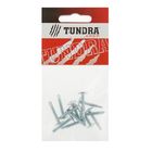 Саморезы с прессшайбой TUNDRA krep, 4.2х25 мм, сверло, 12 шт. Саморезы с прессшайбой TUNDRA krep, 4.2х25 мм, сверло, 12 шт.