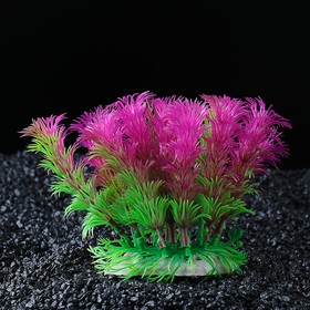 Растение искусственное аквариумное, 17 х 12 х 12 см