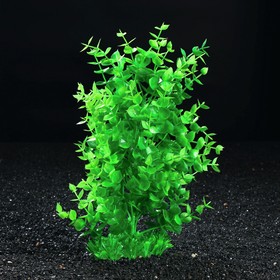 Растение искусственное аквариумное, 21 х 18 х 30 см
