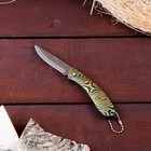 A pocket knife blade drop-point chrome 6.5 cm, handle Ovals with clamp 15.5 cm