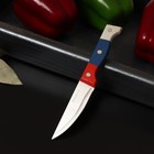 Knife kitchen "Tricolor" blade 8.5 cm
