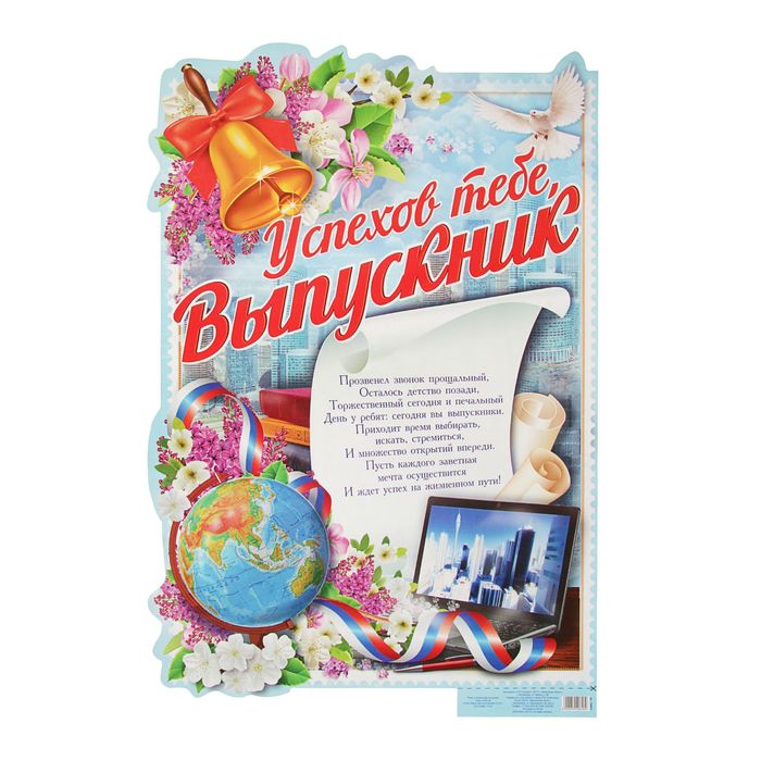 Плакат &quot;Успехов тебе, выпускник&quot;