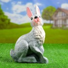 Садовая фигура "Кролик" 10х25х37см - фото 7938800