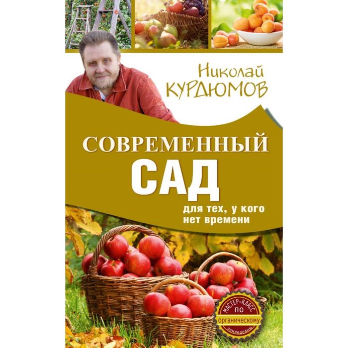 Современный сад для тех, у кого нет времени