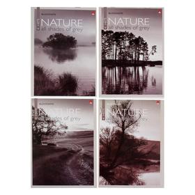 Блокнот А5, 40 листов на скрепке "Природа", МИКС