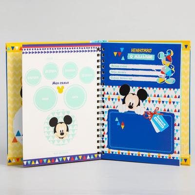 описание_картинки