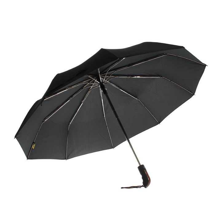 Зонтик автомат купить. Зонт Honda Umbrella Black. Зонт механика s.Oliver Basic 7086501so27. Коричневый зонт автомат Maple Leal. Мужской зонт трость.
