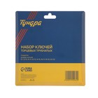 Набор ключей торцевых трубчатых ТУНДРА, оцинкованные, 6 - 22 мм, 2 воротка, 10 предметов 1550262 Набор ключей торцевых трубчатых ТУНДРА, оцинкованные, 6 - 22 мм, 2 воротка, 10 предметов 1550262