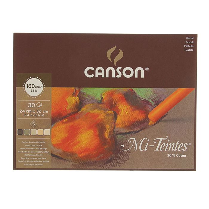 Альбом для пастели С4 240*320 мм Canson Mi-Teintes 5 160 г/м2, 30 листов, коричневые тона, склейка 400030144