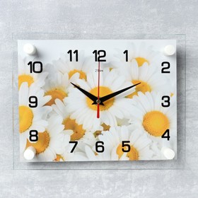 Часы настенные, серия: Цветы, "Ромашки", 20х26 см  микс в Донецке