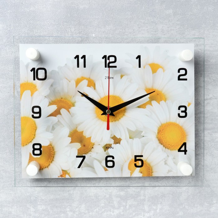 Часы настенные, серия: Цветы, 'Ромашки', 20х26