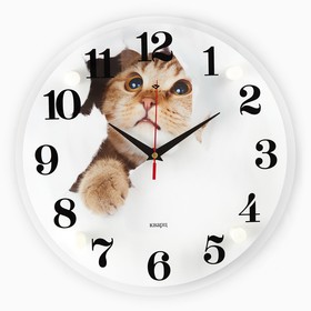 Часы настенные, серия: Животный мир, "Кот", плавный ход, d=30 см
