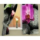 Фотошторы кухонные «Орхидея на камнях», размер 145 х 160 см - 2 шт., габардин - фото 8027815