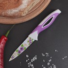 Нож кухонный с антиналипающим покрытием "Райский сад" лезвие 8,5 см, цвет фиолетовый Нож кухонный с антиналипающим покрытием "Райский сад" лезвие 8,5 см, цвет фиолетовый