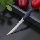 Knife "Stripe" serrated blade 11.5 cm
