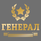 Наклейка на авто "Генерал" Наклейка на авто "Генерал"