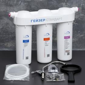 Geyser. Standard water filtration system for hard water
