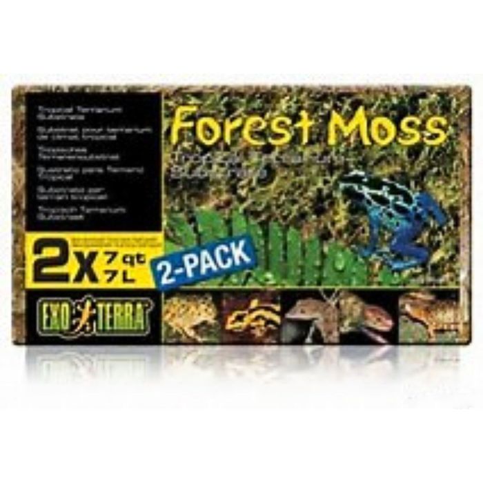 Растение пластиковое Terra Forest Plume Moss