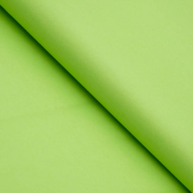 Бумага цветная тишью шёлковая, 510 х 760 мм, Sadipal, 1 лист, 17 г/м2, зелёная