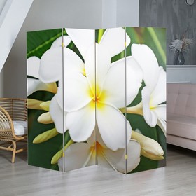 Ширма "Тропические цветы", 200 × 160 см