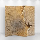 Ширма "Спил деревянный", 160 × 150 см - фото 33091