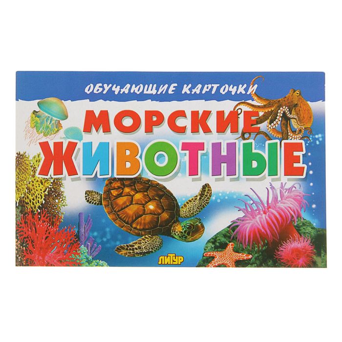 Обучающие карточки. Морские животные