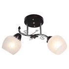 Люстра «Алисия», 2 лампы 40Вт E27, хром-чёрный - фото 3502919