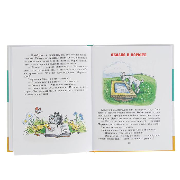 Солнышко на память пляцковский читать. Книга Пляцковского солнышко на память. Книжка солнышко на память. Сутеев солнышко на память.