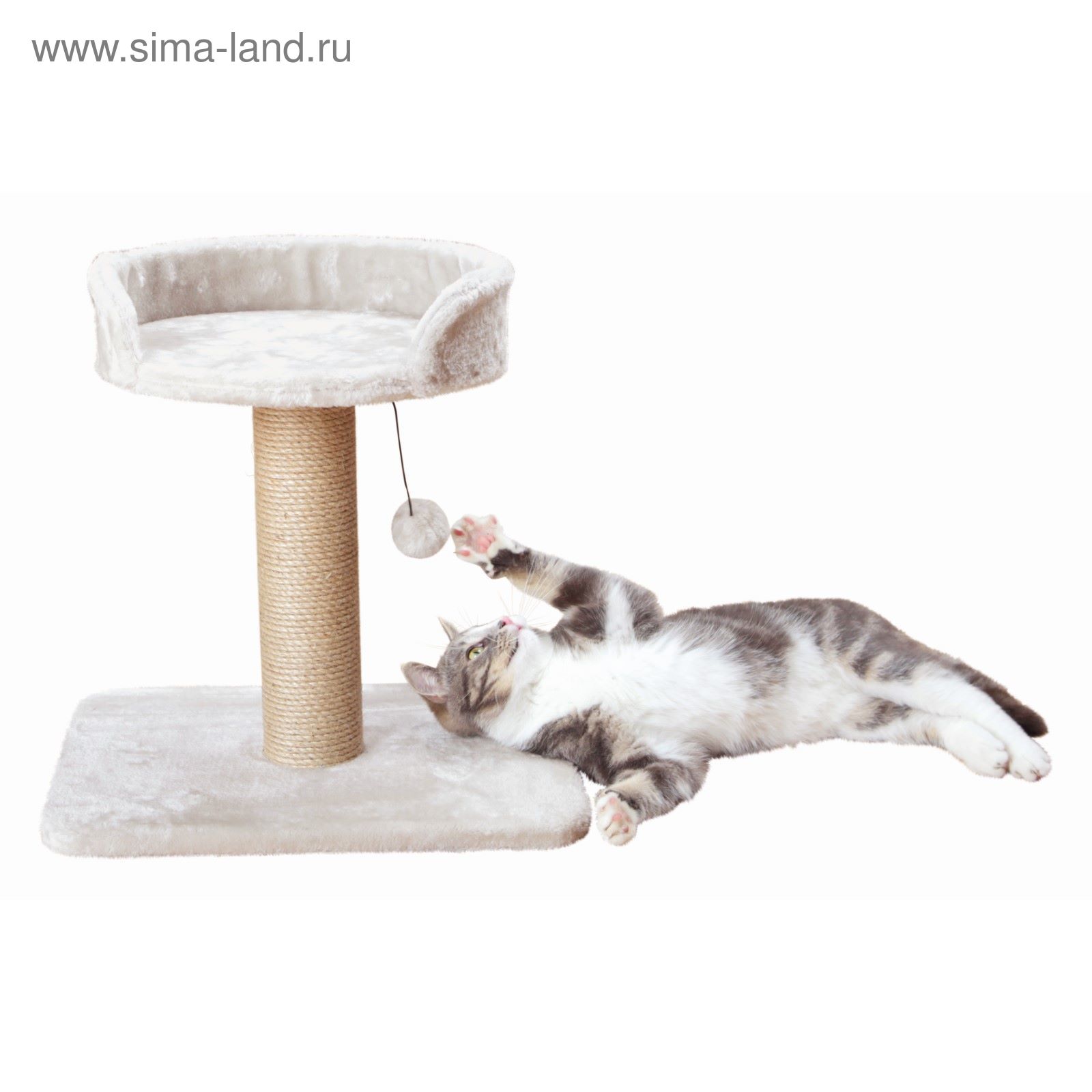 Когтеточка Для Кошек Цена Фото